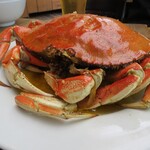 CRUSTACEAN - 