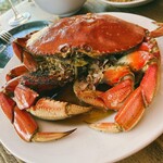 CRUSTACEAN - 