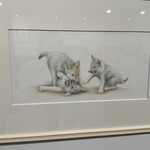 カルチャー&ブックカフェ ピコ - 