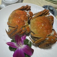 老香港酒家京都 - 