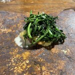 HAGI - オオモミダケとクレソン