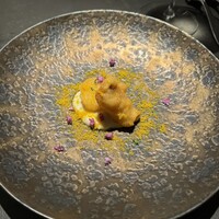 TOSAGE - 