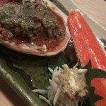 本日のハイライト