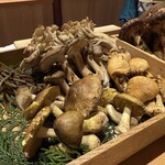 橦木町 しみず - 個性豊かな岐阜の茸たち♪