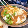 手打十段 うどんバカ一代