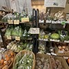 レンドルフ 千葉本店