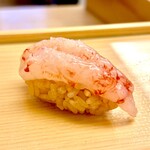 鮨おばな - 美味しいそうな縞海老