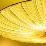 ドンサバティーニ - 