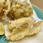 酒肴 こだるま - 