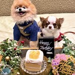 レジーナリゾート軽井沢 御影用水 - 