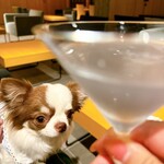 Regina Resort Kyukaruizawa