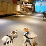 Regina Resort Kyukaruizawa