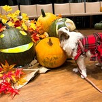 レジーナリゾート軽井沢 御影用水 - 