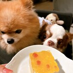 Regina Resort Kyukaruizawa