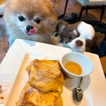 レジーナリゾート軽井沢 御影用水 - 