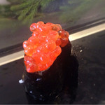 奴寿し - いくら