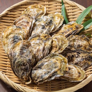 カキの徳栄丸_2