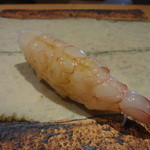 一心鮨 光洋 - アカスエビ