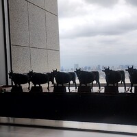 松阪牛 よし田 - 