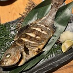 真打 かず家 国分寺店 - 