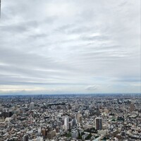 サンシャイン クルーズ・クルーズ - 