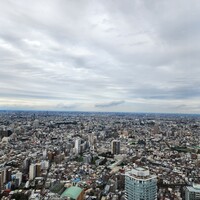 サンシャイン クルーズ・クルーズ - 