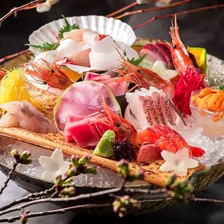 【地鶏と鮮魚】日本海のお刺身や地鶏の炙り刺しなど和食が自慢♪