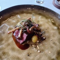 MAISON LAFITE -  MAISON LAFITE -