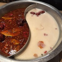雪梅花 菜根譚 - 