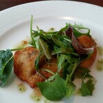 トラットリア タマヤ - 