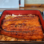 炭火焼うな栄 - 並～☆