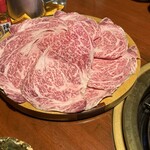 로그테이 혼텐 - 