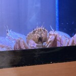 銀座 蟹 あかつき - 