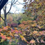 小瀬温泉ホテル - テラスから紅葉を手に取ることができます