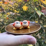 小瀬温泉ホテル - 紅葉と撮るために、茶托に乗る夫婦ワド。落としたら回収不能！長野県永住ワドさんになります