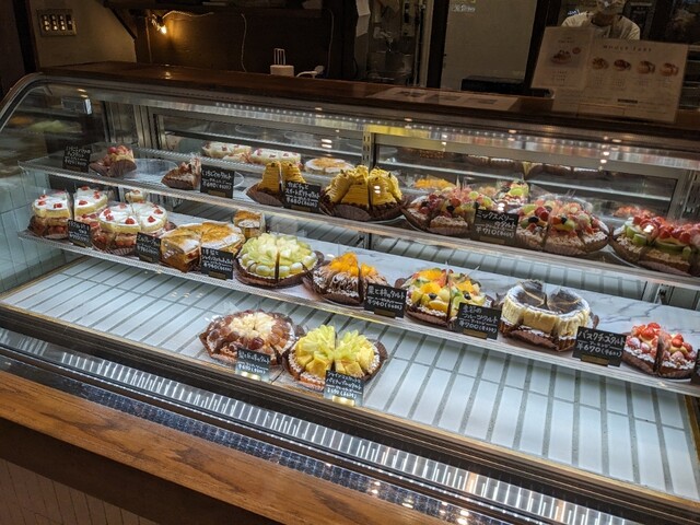 SAN Mozo Wander City Ten