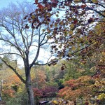 小瀬温泉ホテル - 