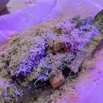 ダンシング クラブ - 