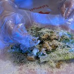 ダンシング クラブ - 