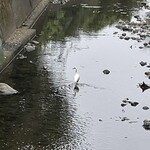 土家 - お店の隣の小川