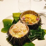 レフェルヴェソンス - 