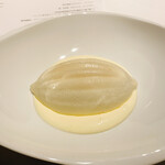 レフェルヴェソンス - 