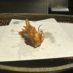 みかわ 是山居 - 