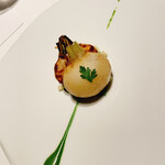 レフェルヴェソンス - 