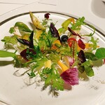 レフェルヴェソンス - 