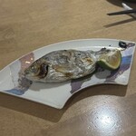 はなしのぶ - 