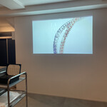 LA TAVOLA DI ADORO - 