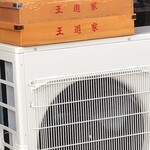 家系ラーメン大ちゃん - 