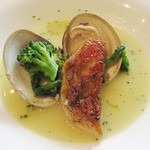 Restaurant27 - ('14/4)鮮魚のポワレ　ハマグリのブイヤベース仕立て