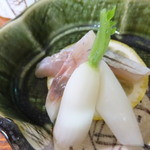 割烹たぬき - 〆鯵は、脂の乗った関鯵を使用